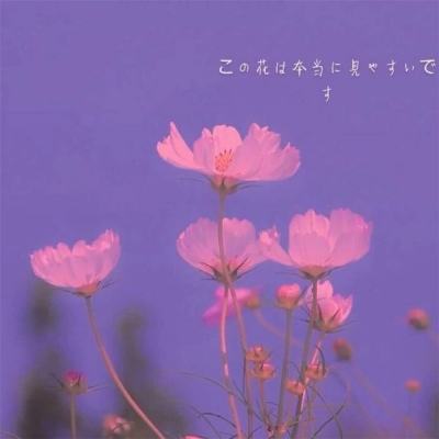 加拿大pc试玩平台